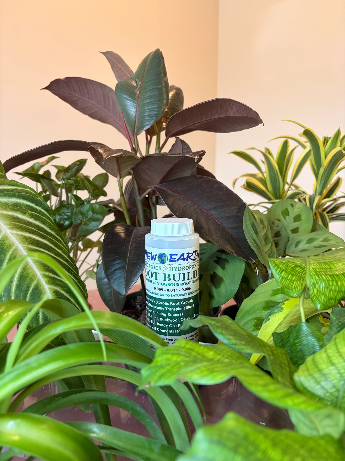 Root Builder Plant Supplement