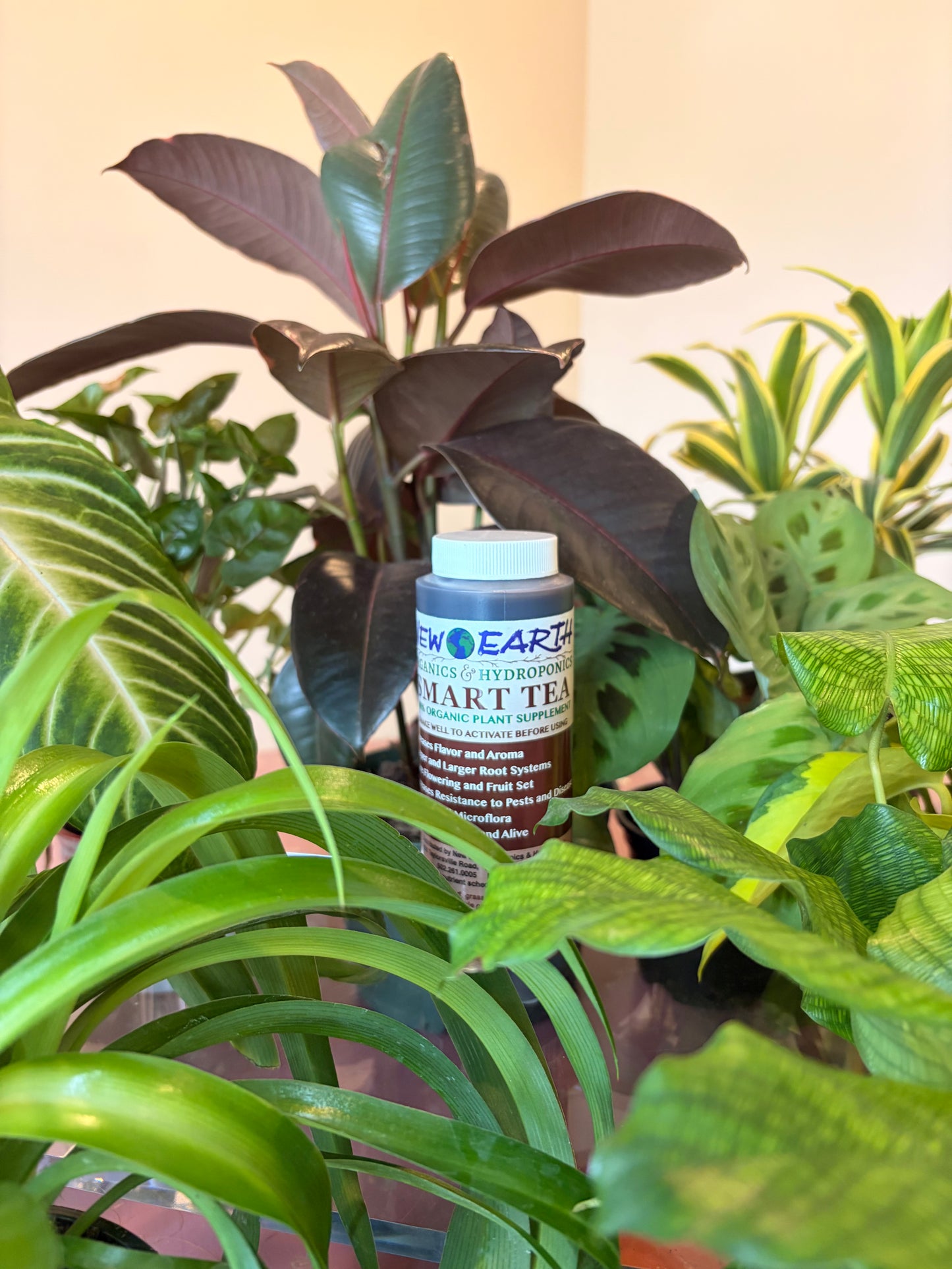 Smart Tea Plant Supplement