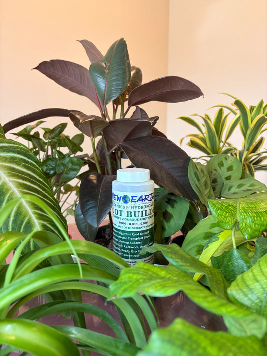 Root Builder Plant Supplement