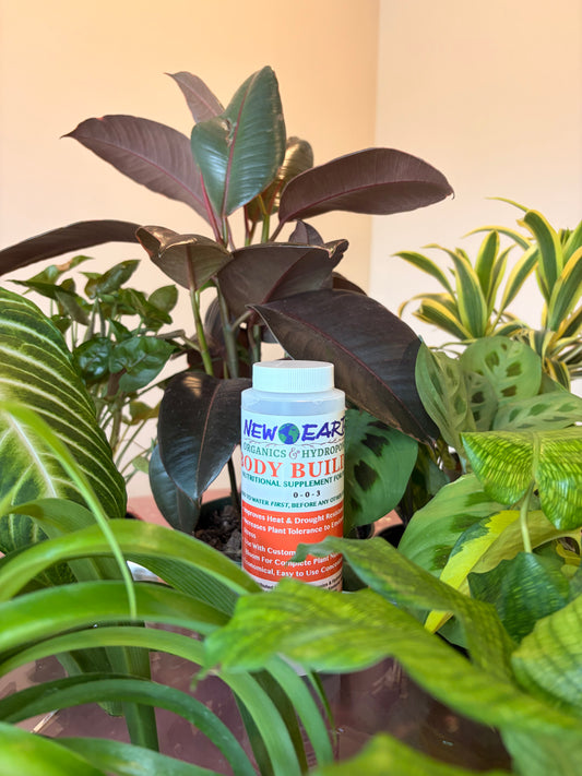 Body Builder Plant Supplement