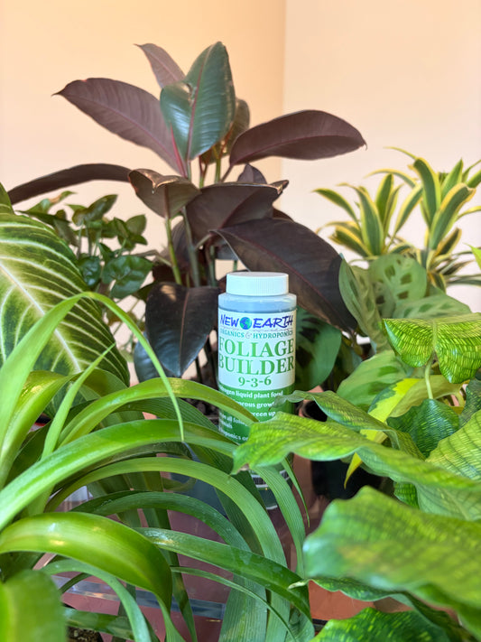 Foliage Builder Plant Supplement